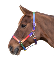 Cabeção Rainbow