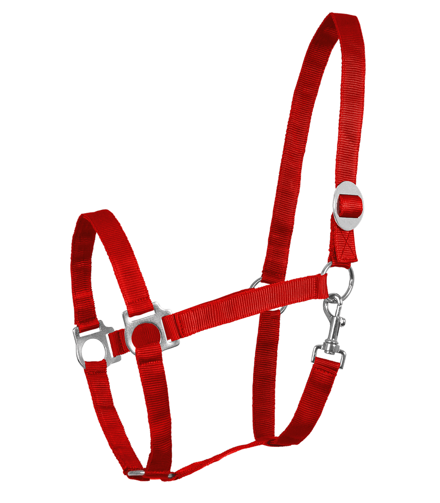 Cabeção Perlon