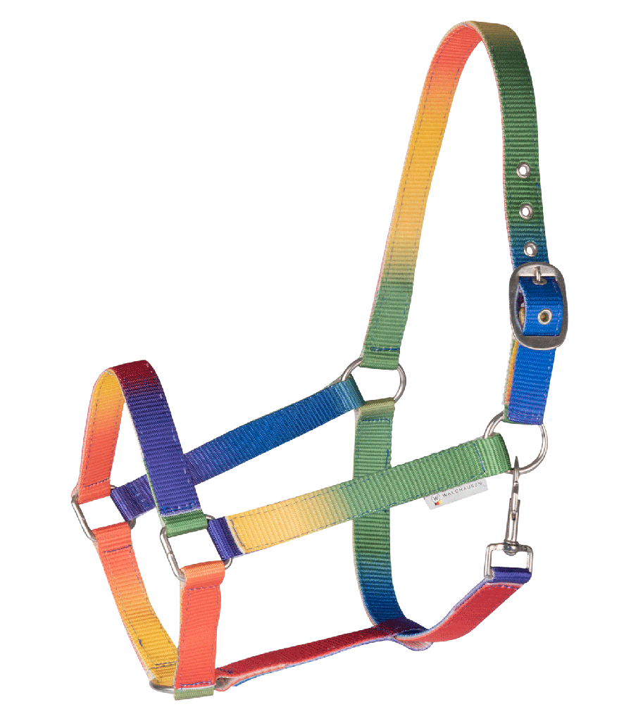 Cabeção Rainbow