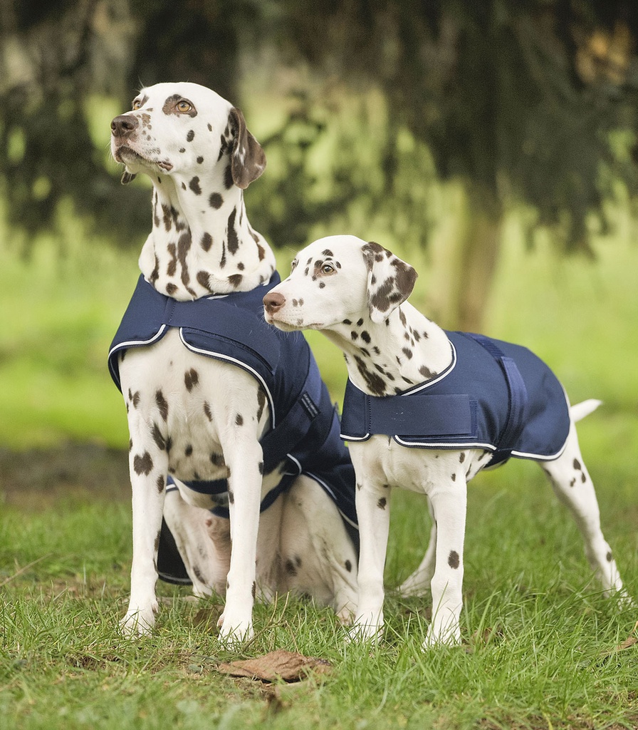 Manta Cão Chuva
