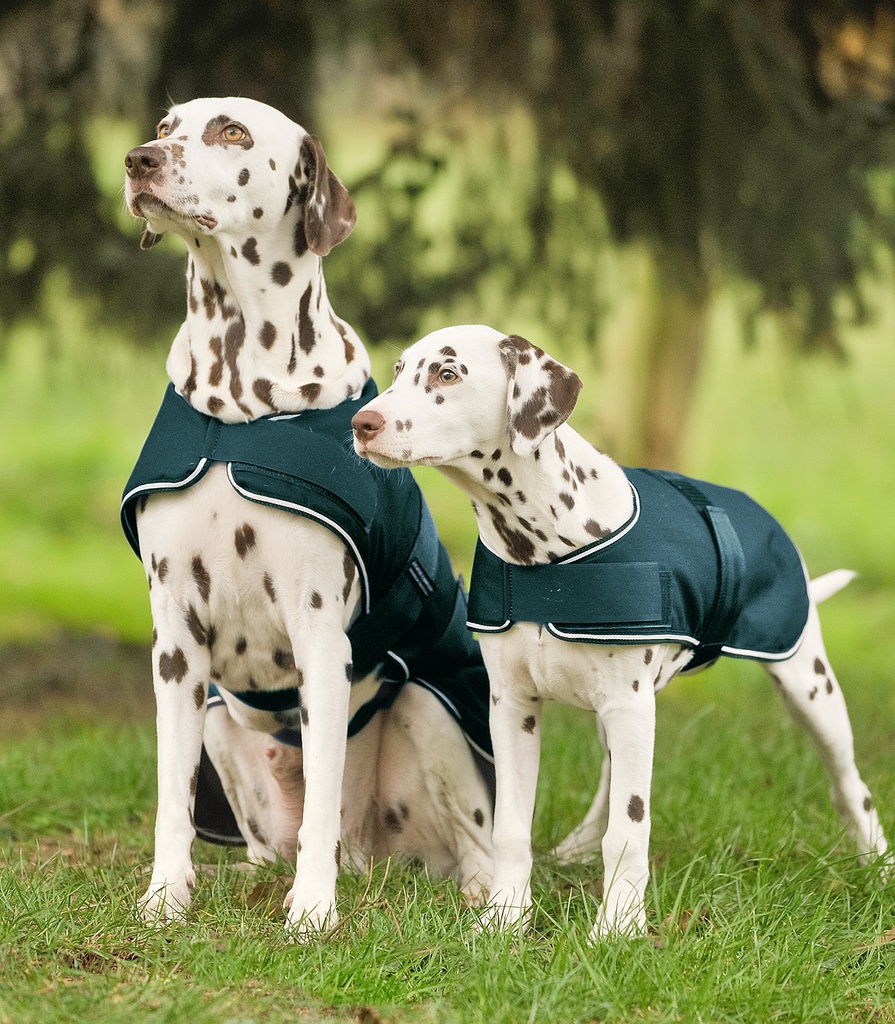 Manta Cão Chuva