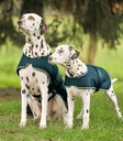Manta Cão Chuva