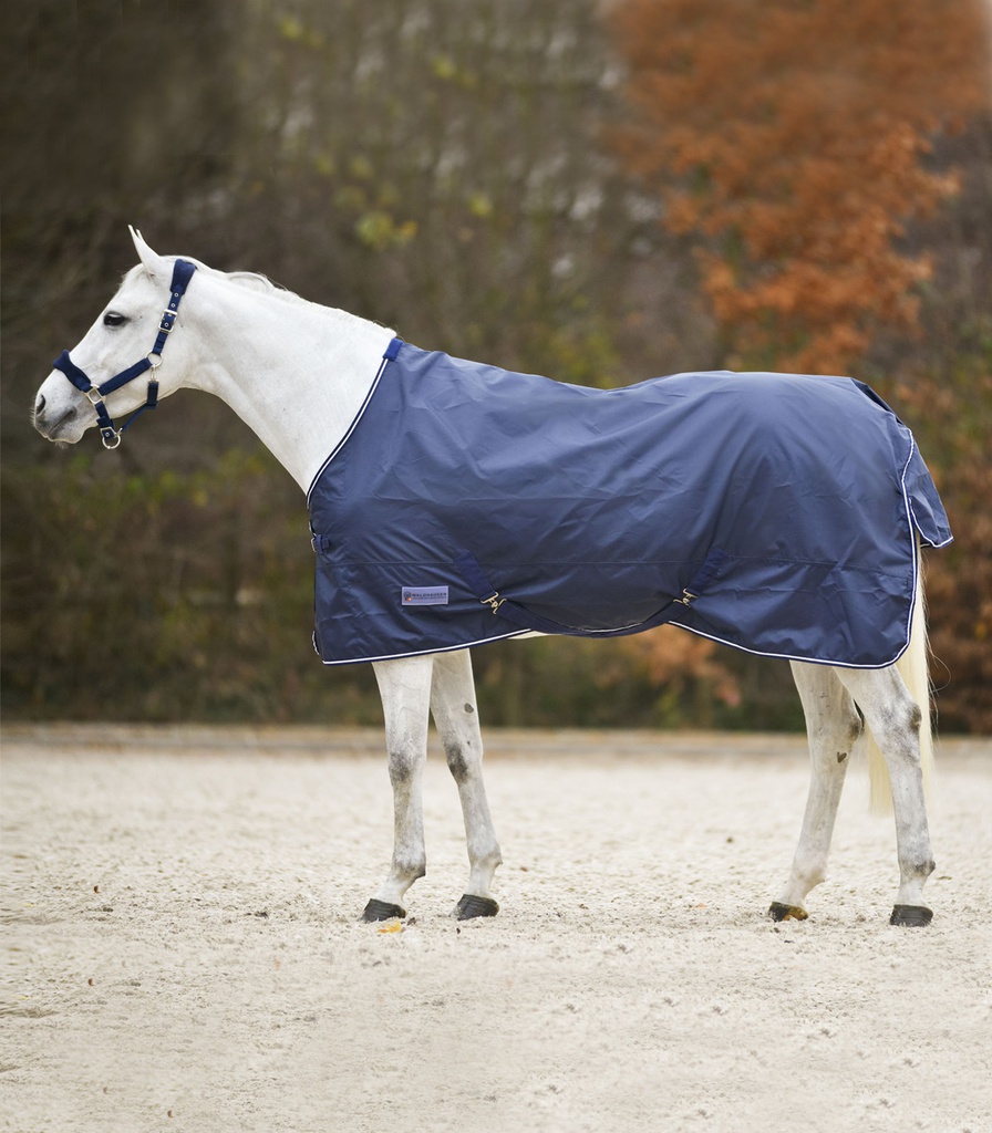 Manda de Paddock Economic
