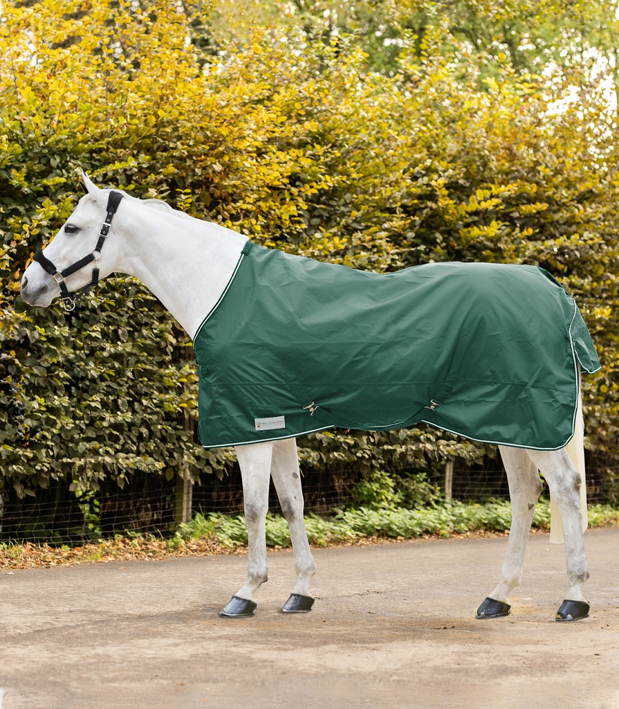 Manda de Paddock Economic