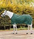 Manda de Paddock Economic