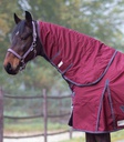 Pescoço Paddock Economic 200g