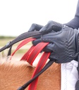 Peitoral Waldhausen Safety
