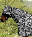 Pescoço Zebra