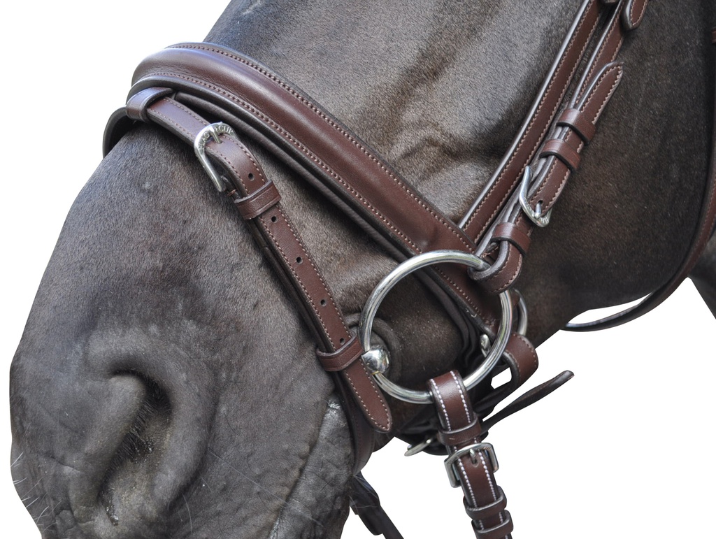 Cabeçada FLAGS&CUP Hickstead