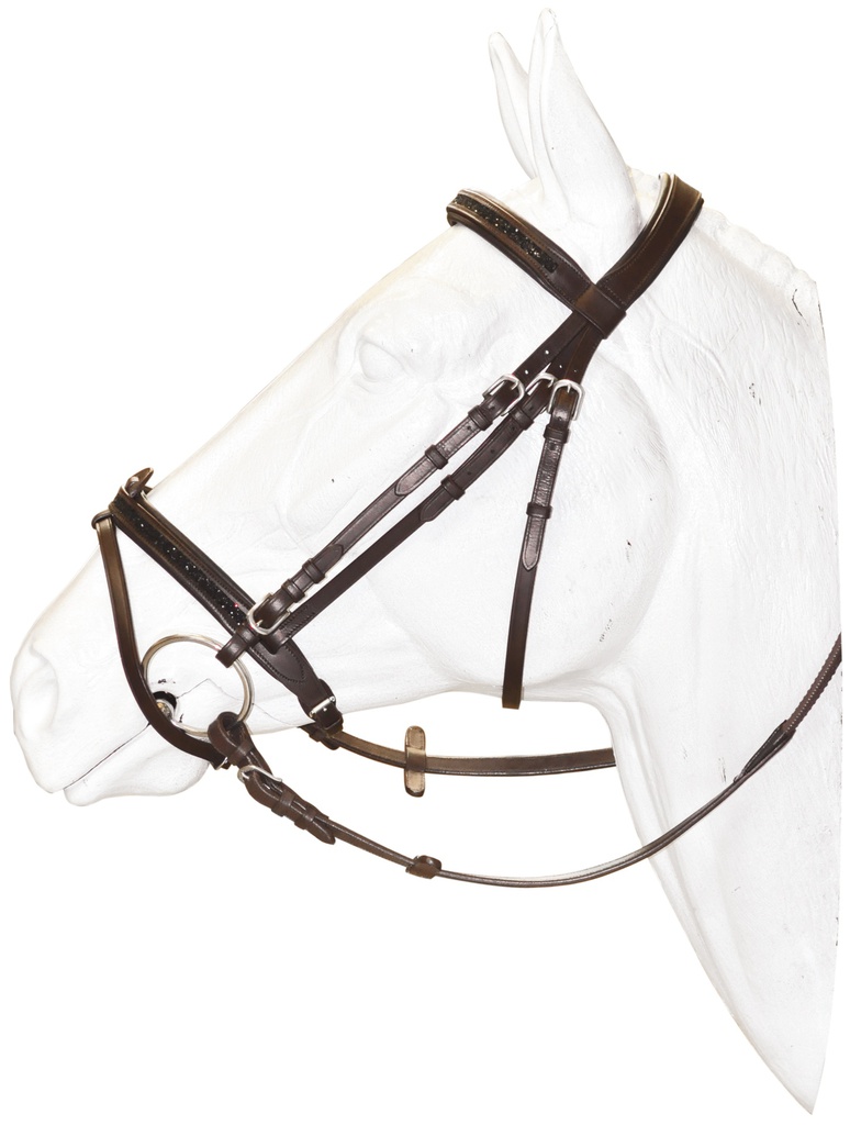 Cabeçada Canter Black strass