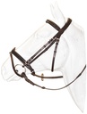 Cabeçada Canter Black strass