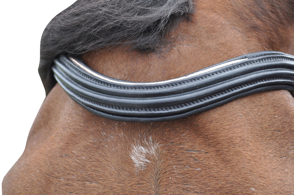Cabeçada Canter Rosa GOLD
