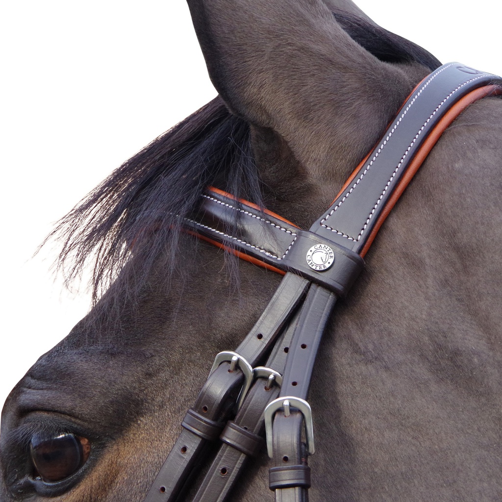 Cabeçada Canter ALME