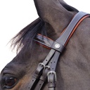 Cabeçada Canter ALME