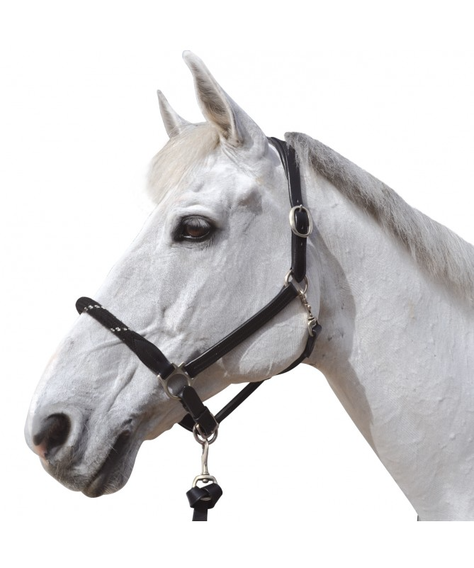 Cabeção corda Canter