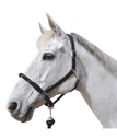 Cabeção corda Canter