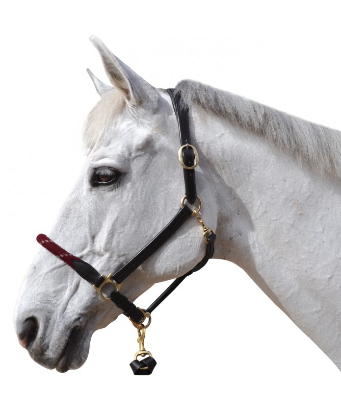 Cabeção corda Canter