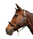 Cabeção corda Canter