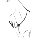 Peitoral Roxane Equestro