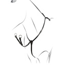 Peitoral Roxane Equestro