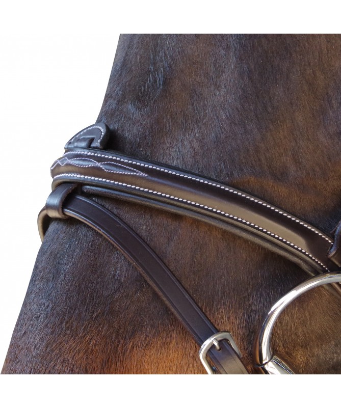 Cabeçada Canter Fancy Stitched