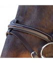 Cabeçada Canter Fancy Stitched