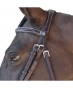 Cabeçada Canter Fancy Stitched