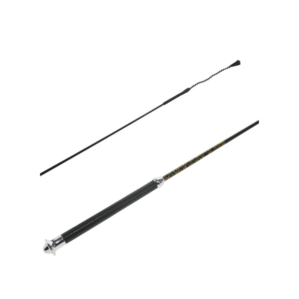 Stick de ensino