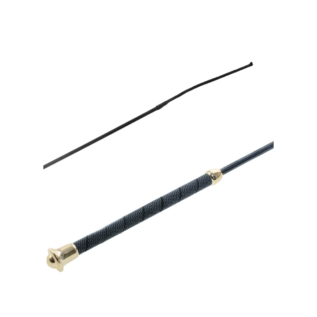 Stick de ensino Dourado Prata