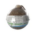 Snack em bola de ervas