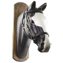 Cabeçada Horseball biothane