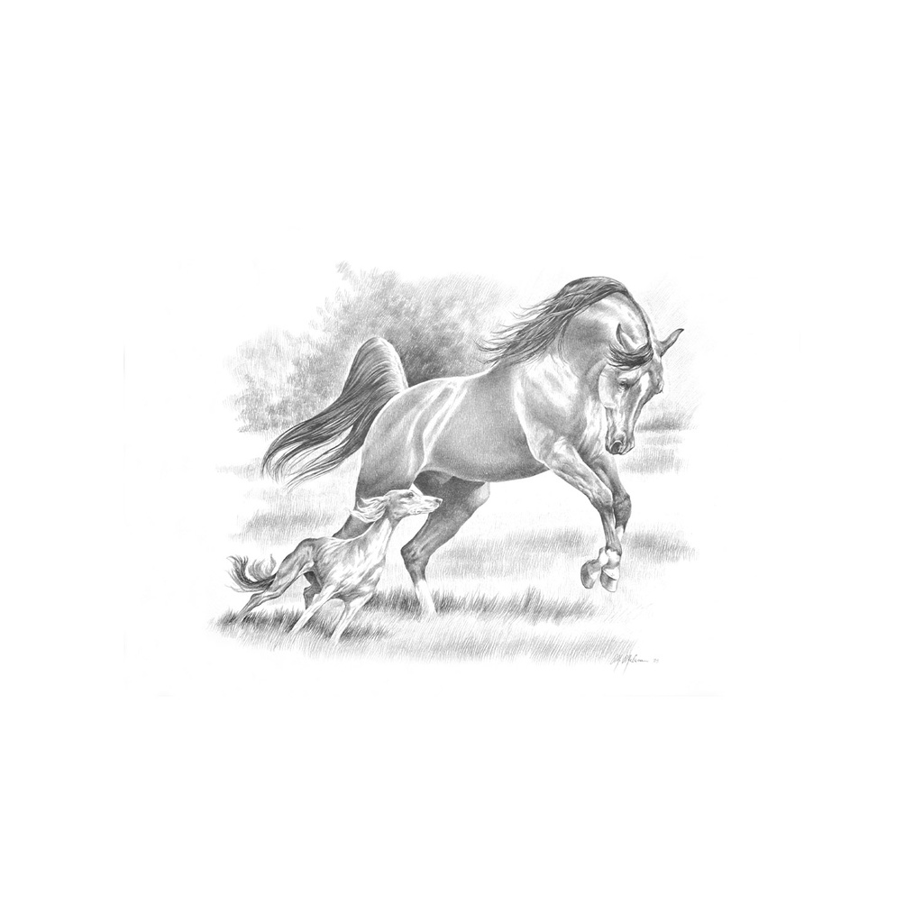 Quadro Equestrian