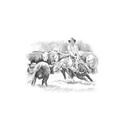 Quadro Equestrian