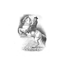 Quadro Equestrian
