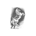 Quadro Equestrian