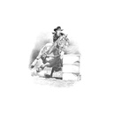 Quadro Equestrian