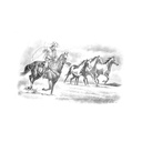 Quadro Equestrian