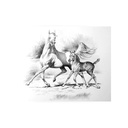 Quadro Equestrian
