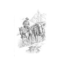 Quadro Equestrian