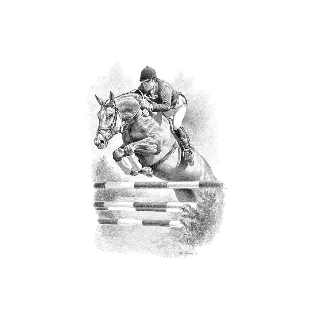 Quadro Equestrian