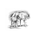 Quadro Equestrian