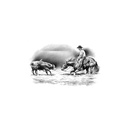 Quadro Equestrian