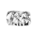 Quadro Equestrian