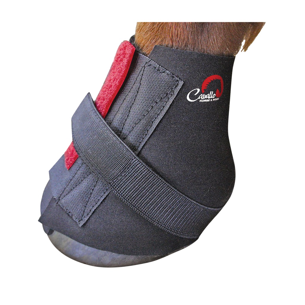 Pastern wraps
