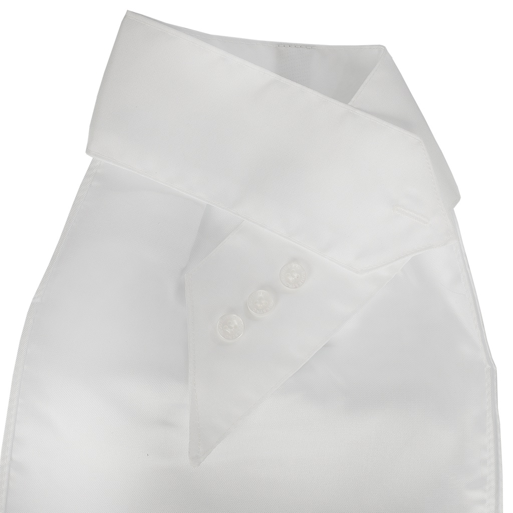 Plastron honey 