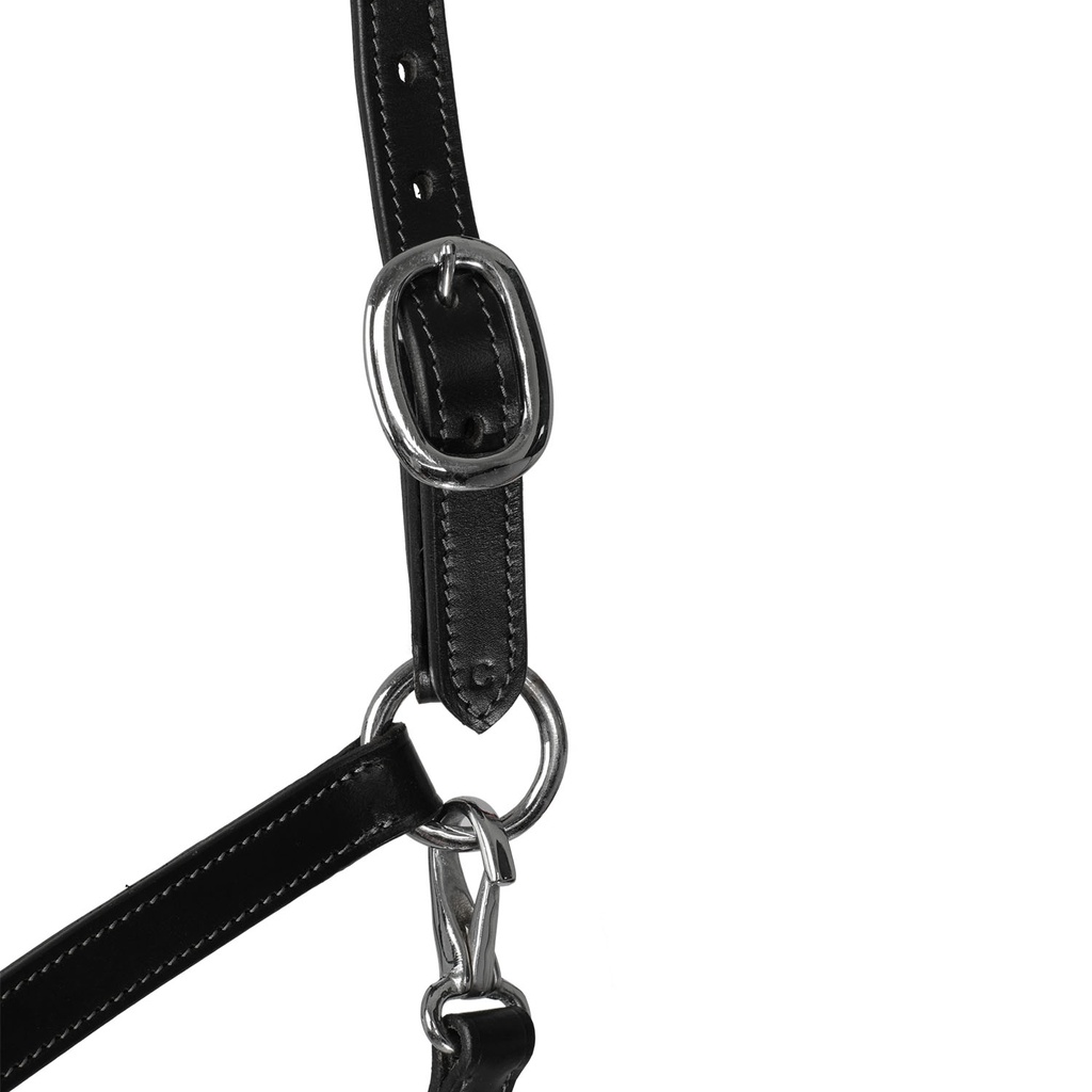 Cabeção Acavallo rope