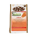 Biscoitos cenoura (500 gr)