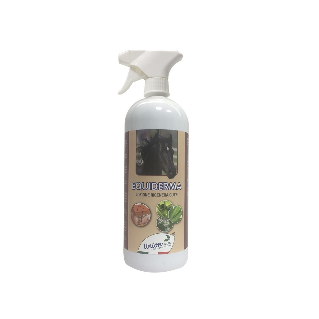 Equiderma (1 lt) 
