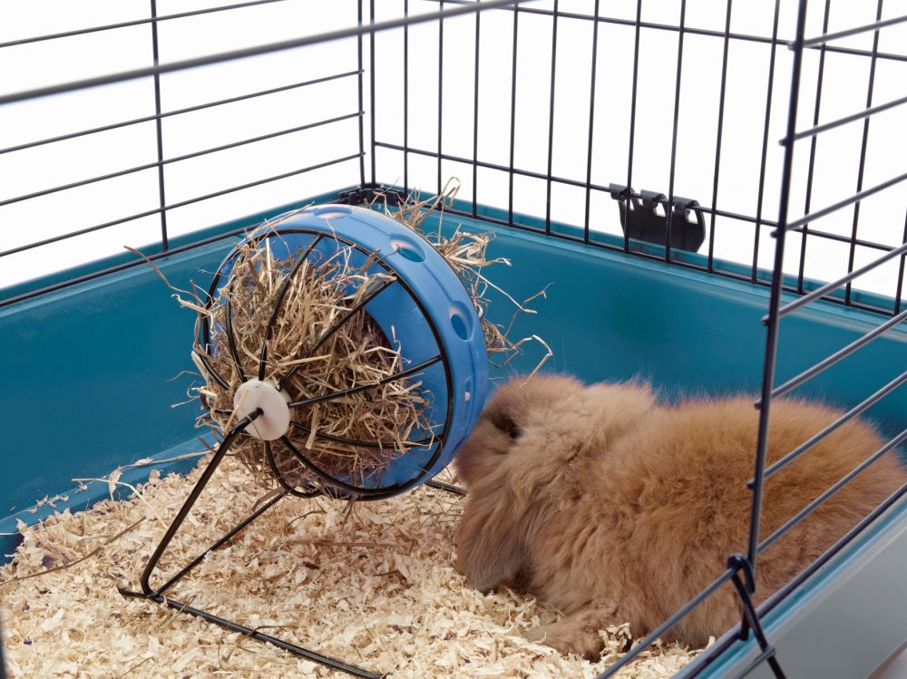 Racks para Alimentação "Bunny Toy"