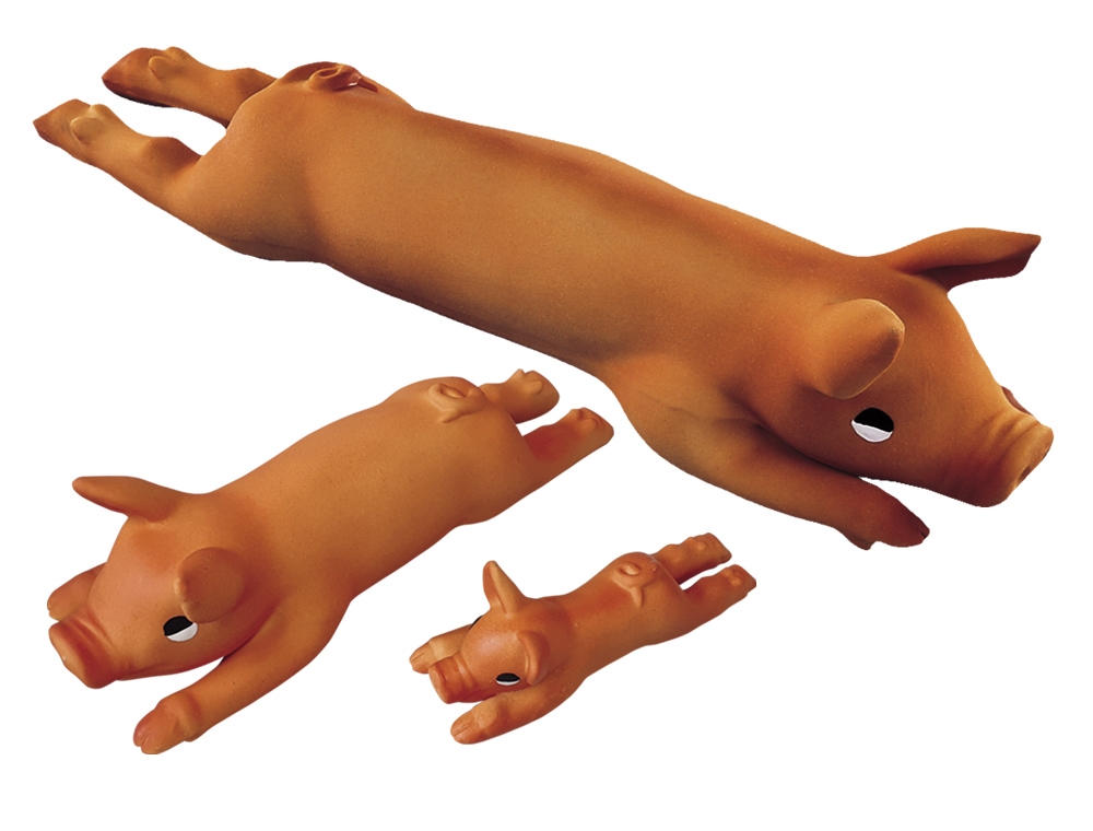 Porco latex